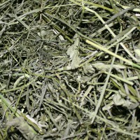 Bacteria, fungus and mould in forage