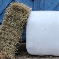 Hay, haylage, silage – what’s the difference?